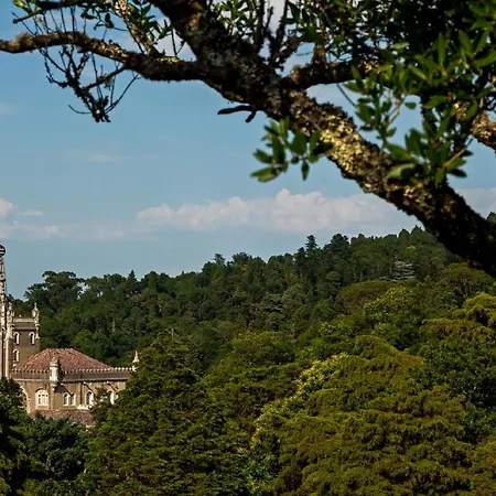Отель Palace Do Bussaco