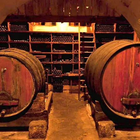 Palace Do Bussaco Otel Luso (Mealhada)