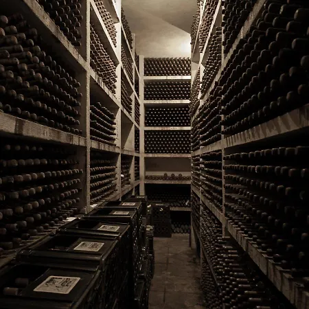 Hotell Palace Do Bussaco Luso (Mealhada)