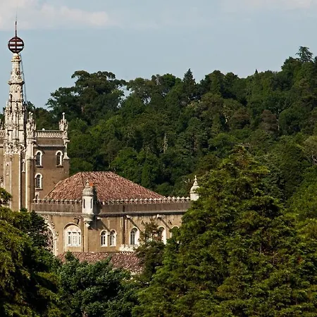 Hotel Palace Do Bussaco