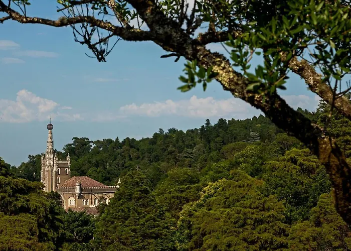 Отель Palace Do Bussaco