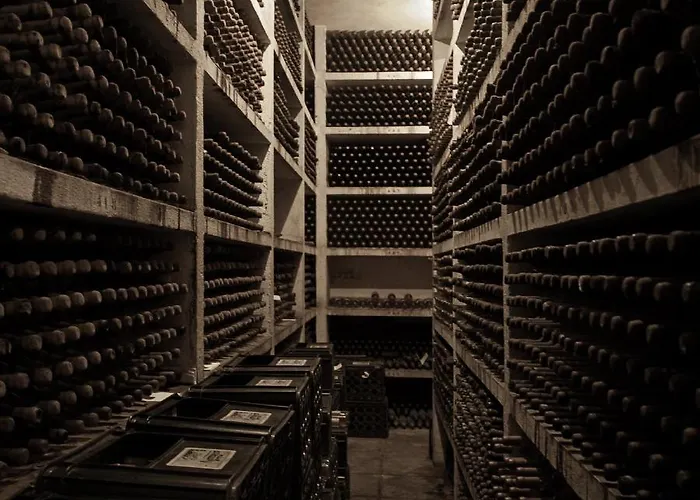 Отель Palace Do Bussaco Лузу