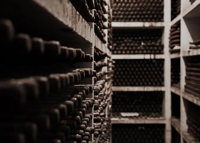 Palace Do Bussaco 5*